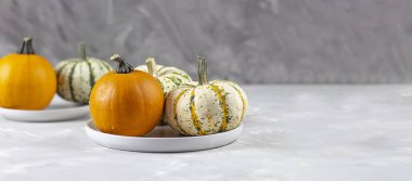 Gri bir arka planda Şükran Günü. Akşam yemeği. Balkabağı. Pankart. Boşluğu kopyala