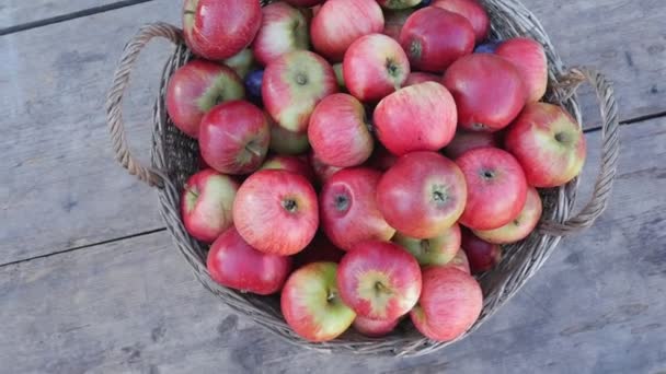 Καλάθι Κόκκινα Μήλα Ξύλινο Φόντο Κόκκινα Μήλα — Αρχείο Βίντεο