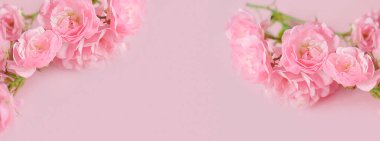 Bahçedeki güzel gül çiçeği. Gül çiçeği arkaplanı. Güllerin çiçek dokusu. Güzel gül. Tropik bahçede güller. Renkli güller.