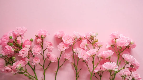 Bahçedeki güzel gül çiçeği. Gül çiçeği arkaplanı. Gül çiçeği dokusu. Güzel gül. Pembe arka planda pembe güller.