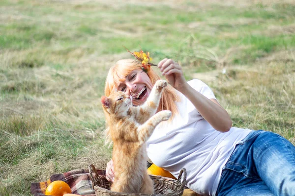 Sonbahar arkaplanı. Balkabağı. Şükran Günü geçmişi. Şükran Günü için balkabağı. Kız ve kedi.