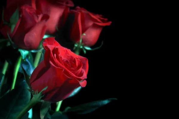 Funeral bouquet — Stock Photo, Image