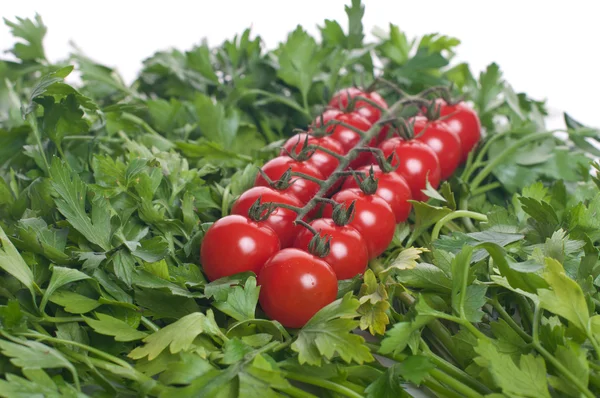Вишневий помідор з зеленим парселем — стокове фото