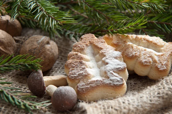 Homemade Christmas cookie in a tree form — Stock Photo, Image