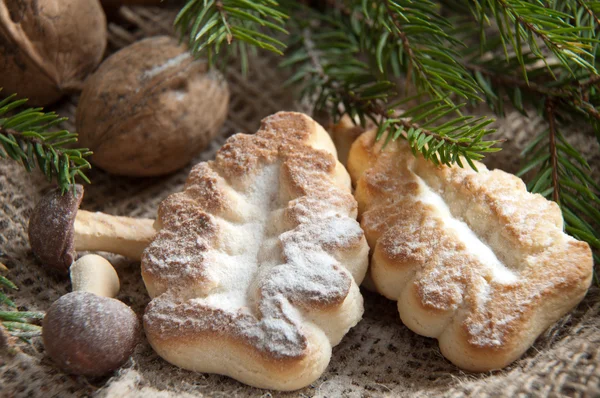 Homemade Christmas cookie in a tree form — Stock Photo, Image