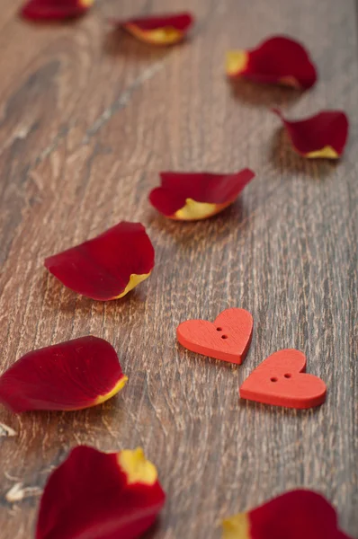 Petali di rose su tavola di legno con cuori — Foto Stock