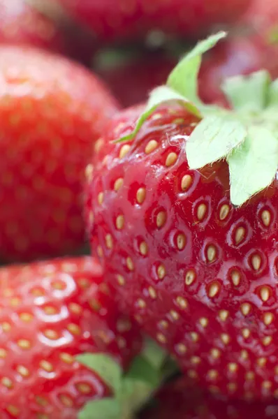 特写细节的新鲜红草莓叶 — 图库照片