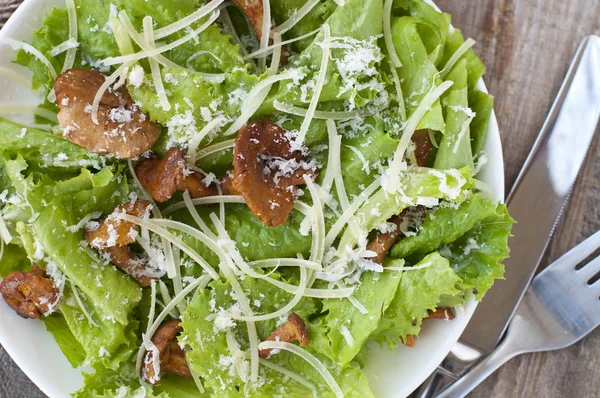 Salad with mushrooms (chanterelles), parmesan, lettuce — Stock Photo, Image