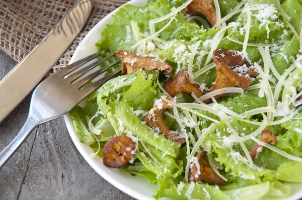 Salade met champignons (cantharellen), parmezaan, sla — Stockfoto