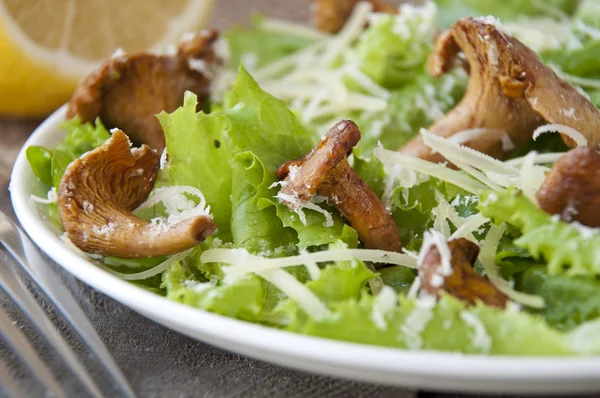 Salad with mushrooms (chanterelles), parmesan, lettuce — Stock Photo, Image