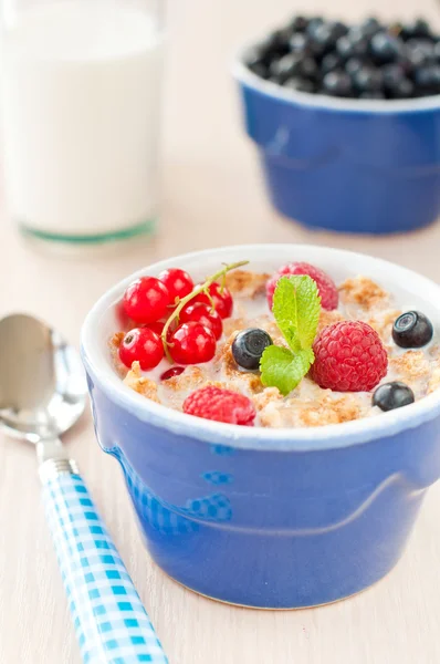 Сніданок з зернами та ягодами — стокове фото