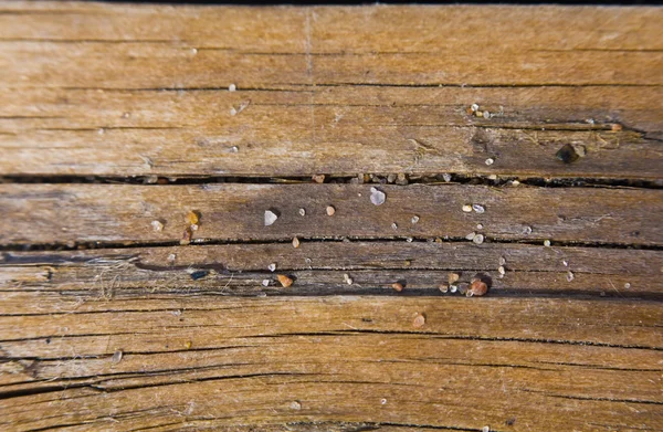 Macro texture of wood — Stock Photo, Image
