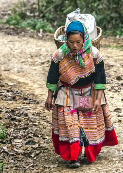 Hmong kobieta z załadowany koszyk na plecach jest na zakręcie w drodze. — Zdjęcie stockowe