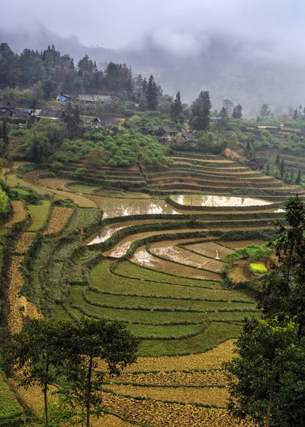 Pemandangan musim dingin di pegunungan dengan sawah bertingkat . — Stok Foto