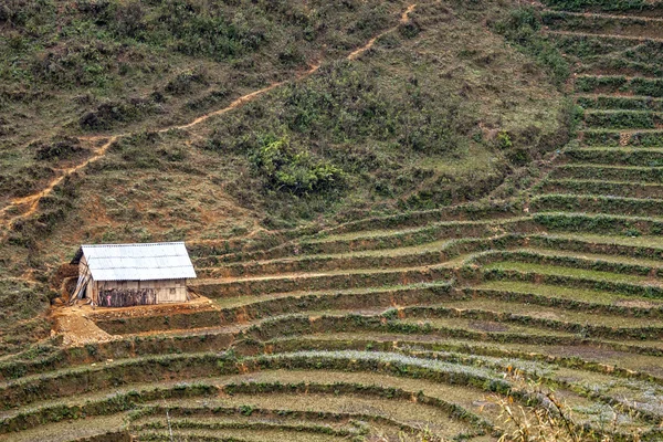 Ensamma barn i terrasserade fält på berget flanken. — Stockfoto