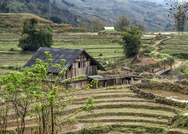 Landsbygdens sen vinter landskap med ladugård bland torra terrasserade risfält. — Stockfoto
