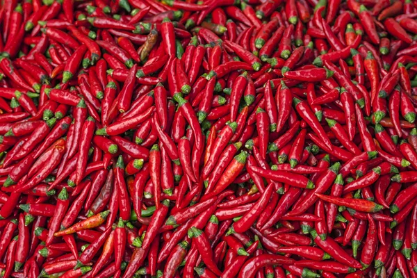 Vietnam Bac Ha: Pigment red hot chili papričky jalapeňo — Stock fotografie