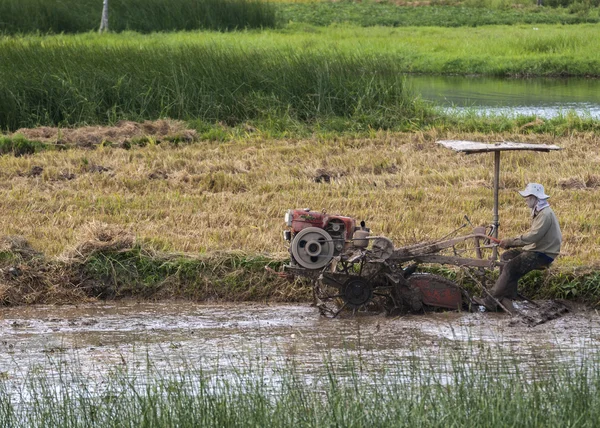 Çiftçi ile çamurlu çeltik motorlu makine ile pulluklar.. — Stok fotoğraf