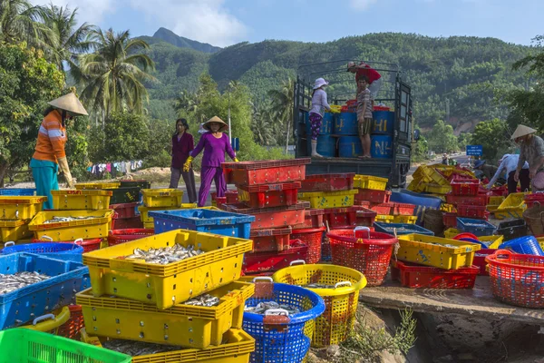 Les femmes chargent des paniers colorés de sardines sur un camion . — Photo