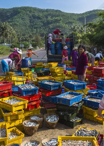 Stående format: kvinnor ladda färgglada korgar av sardiner på en lastbil. — Stockfoto
