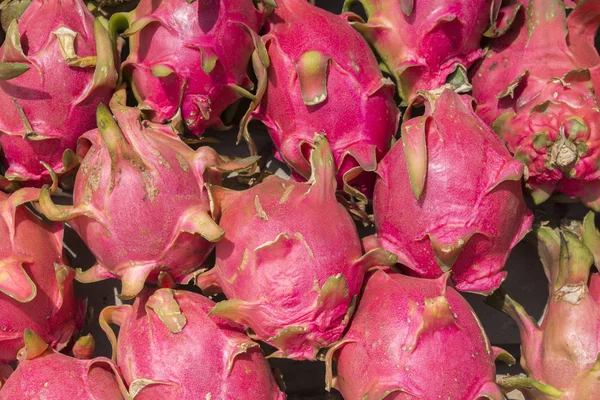 Ramo de frutas de dragón de ping o pitayas . — Foto de Stock