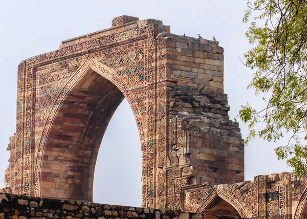 Loros en la antigua puerta árabe en Qut 'b Minar en Delhi . —  Fotos de Stock