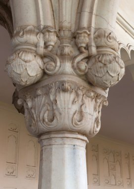 ayağı baş Hindistan'daki agra fort sarayında Close-Up.