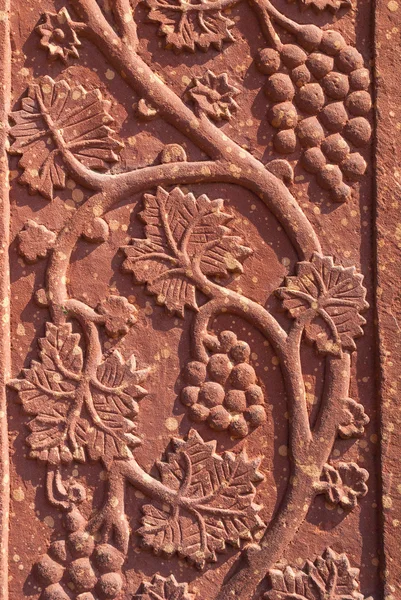 Ścienne rzeźby winorośli w czerwony standstone w fatehpur sik — Zdjęcie stockowe