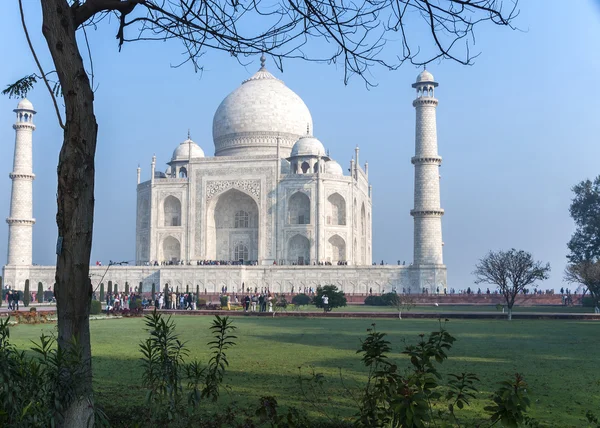 Taj Mahal mausoleum seen from under a tree against blue skies at — Stock Photo, Image