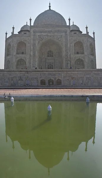 Reflection of Taj Mahal mausoleum in mosque's pool at India's Ag — Stock Photo, Image