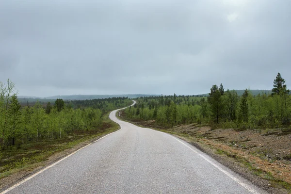 Long winding road through the forests in Lapland during summer. — Stock Photo, Image
