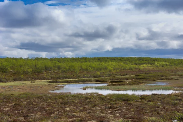 Zakalená modrá obloha nad mokřin v Laponsku, v létě. — Stock fotografie