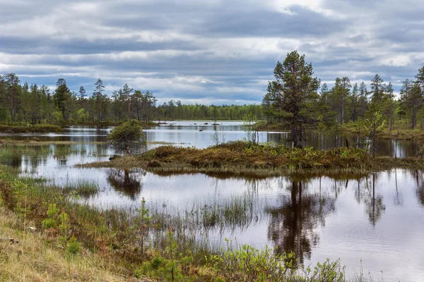 Flooded landscape under heavy skies in northern Lapland during s — Stock Photo, Image