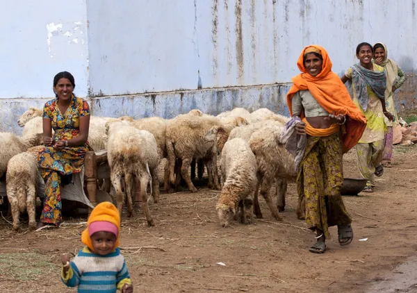 Noord india weg - februari 2011 - groep van gelukkig lachend vrouwen en kinderen met hun schapen. — Stockfoto