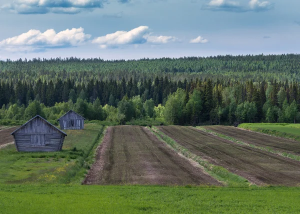 Lines, barns and green under blue cloudy skies in Finnish Laplan — Stock Photo, Image