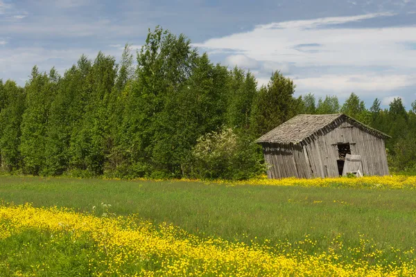 Ländliche Szene mit schräger grauer Scheune in finnischem Lappland. — Stockfoto