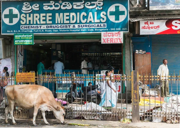 Bangalore, india - circa ottobre 2013: farmacia nel centro storico. — 图库照片