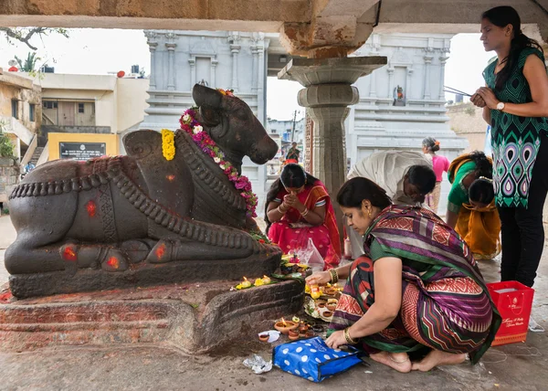 Verehrung von Nandi bei sri naheshwara in bangalore. — Stockfoto