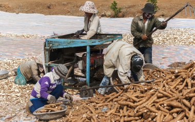 takım tapyoka yığın üzerinden kapmak, makinede keser atar ta