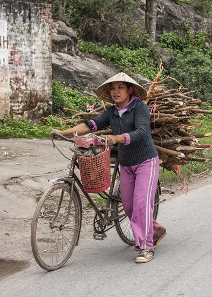 Jonge vrouwelijke boer wandelingen fiets geladen met brandhout. — Stockfoto