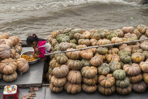 Sentada entre una pila de calabazas en la barcaza de sus padres . — Foto de Stock