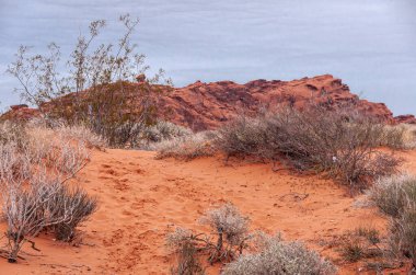 Overton, Nevada, ABD - 24 Şubat 2010: Ateş Vadisi. Kırmızı kum manzarası ve kararmış kırmızı kayalar gri bulutların altında. Çöl zemininde kuru otlar..