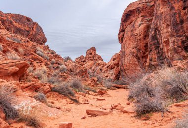 Overton, Nevada, ABD - 24 Şubat 2010: Ateş Vadisi. Çatlak, çukurlu, çizgili ve siyah lekeli kırmızı kaya parçaları arasında dönüp duran kumlu çöl zemininden oluşan kanyon manzarası. Kuru otlar hayatta kalmaya çalışır.
