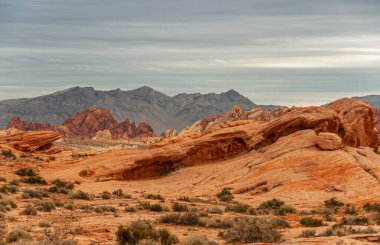 Overton, Nevada, ABD - 24 Şubat 2010: Ateş Vadisi. Şiddetli gri bulutlar altında kızıl kayalardan oluşan geniş bir arazi. Ufuktaki karanlık dağ sırası ve yeşilimsi çalılarla dolu kuru çöl tabanı..