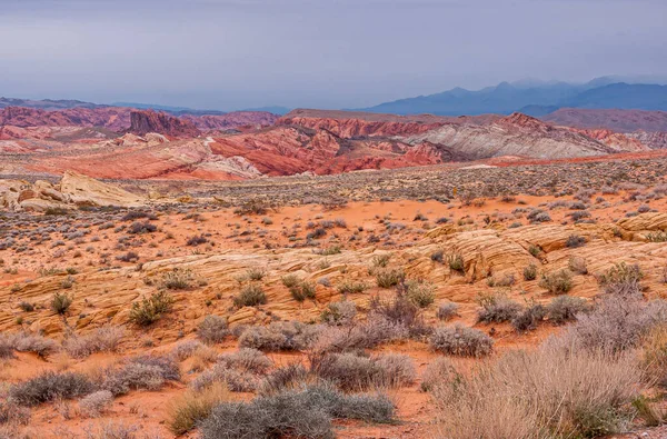 Overton Nevada Abd Şubat 2010 Ateş Vadisi Arkasında Kırmızı Kayalar — Stok fotoğraf