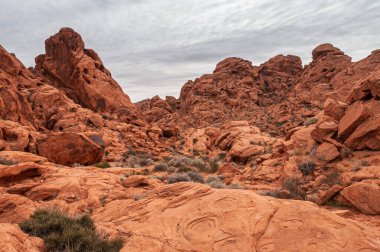 Overton, Nevada, ABD - 25 Şubat 2010: Ateş Vadisi. Çölün zemininde gri bulutlar altında kırmızı kayalar ve dairesel desenlerle geniş bir alan. Yeşil çalılar dağıldı..