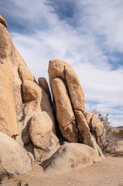 Joshua Tree Ulusal Parkı, CA, ABD - 31 Ocak 2022: Kumlu çöl zemininde, mavi bulutların altında parçalanmış, parçalanmış ve bej renkli dev kayaların kapatılması. Arkaya doğru fırçalar.