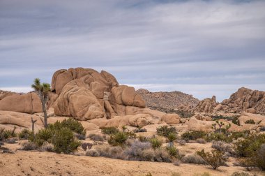 Joshua Tree Ulusal Parkı, CA, ABD - 31 Ocak 2022: Gri-mavi bulutları dağ sırasından ve kuru çöl tabanını yeşil çalılarla ayıran ayrık bej kayalarla geniş bir manzara.