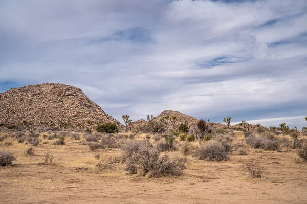 Joshua Tree Ulusal Parkı, CA, ABD - 31 Ocak 2022: Kumlu kuru çöl manzarası, önünde mavi bulutlar, çalılar ve kaktüsler altında iki kahverengi kaya tepesi.
