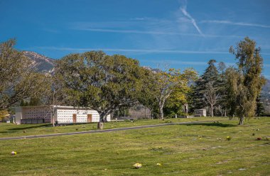 Santa Barbara, Kaliforniya, ABD - 8 Şubat 2022: Calvary Mezarlığı. Mavi gökyüzü ve Santy Ynes dağları altındaki ağaç lotoları arasında daha küçük duvar gömülü geniş bir arazi..